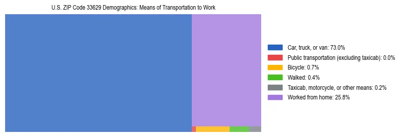Treemap showing means of transportation to work distribution in US ZIP Code 33629.
