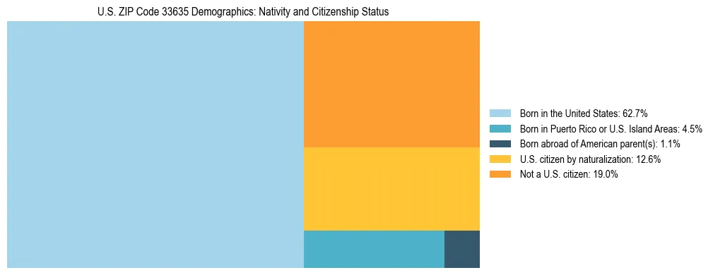 Treemap showing the population distribution by nativity and citizenship status in US ZIP Code 33635 based on U.S. Census data.
