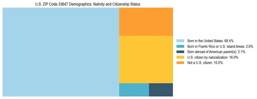 Treemap showing the population distribution by nativity and citizenship status in US ZIP Code 33647 based on U.S. Census data.