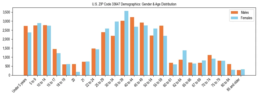Bar chart showing the population distribution of US ZIP Code 33647 by age group and gender, based on 2023 ACS data.