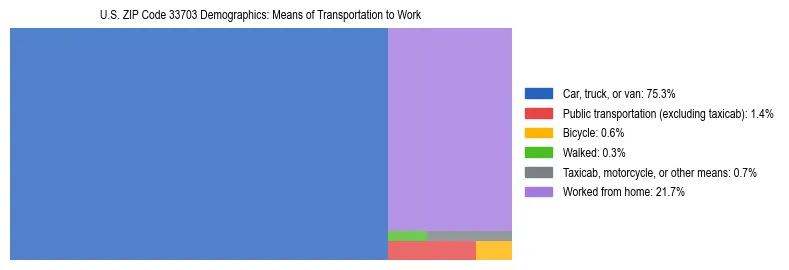 Treemap showing means of transportation to work distribution in US ZIP Code 33703.