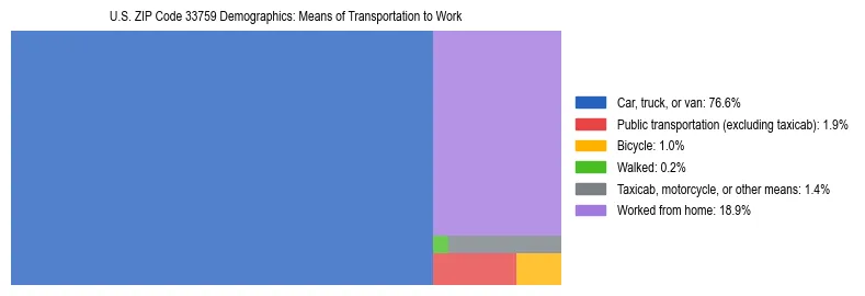 Treemap showing means of transportation to work distribution in US ZIP Code 33759.