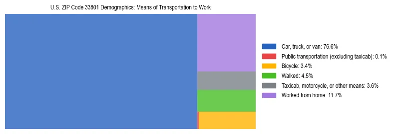 Treemap showing means of transportation to work distribution in US ZIP Code 33801.