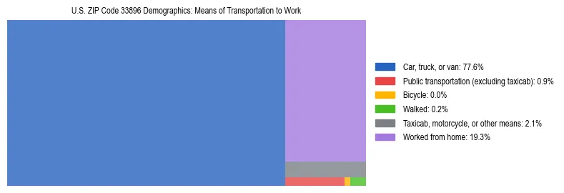 Treemap showing means of transportation to work distribution in US ZIP Code 33896.