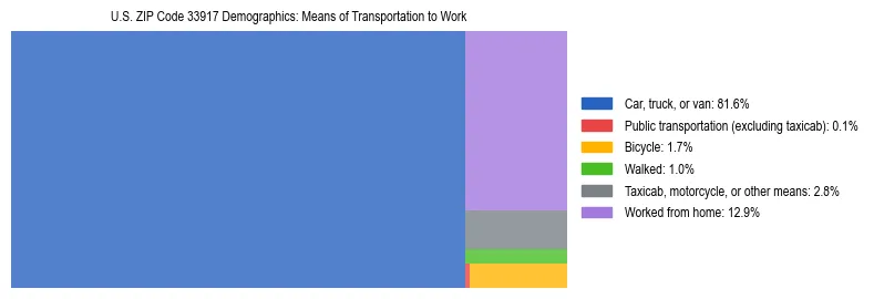 Treemap showing means of transportation to work distribution in US ZIP Code 33917.
