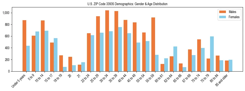 Bar chart showing the population distribution of US ZIP Code 33935 by age group and gender, based on 2023 ACS data.