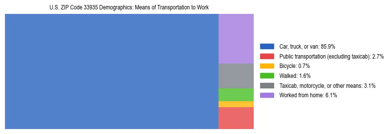 Treemap showing means of transportation to work distribution in US ZIP Code 33935.