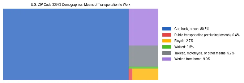 Treemap showing means of transportation to work distribution in US ZIP Code 33973.