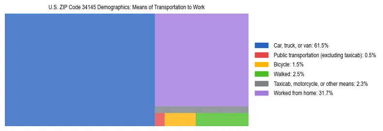 Treemap showing means of transportation to work distribution in US ZIP Code 34145.