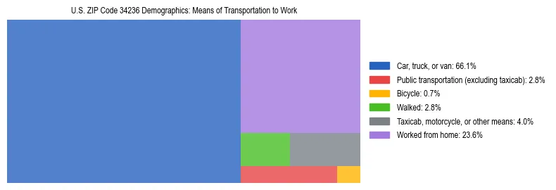 Treemap showing means of transportation to work distribution in US ZIP Code 34236.