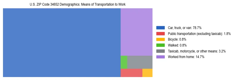 Treemap showing means of transportation to work distribution in US ZIP Code 34652.