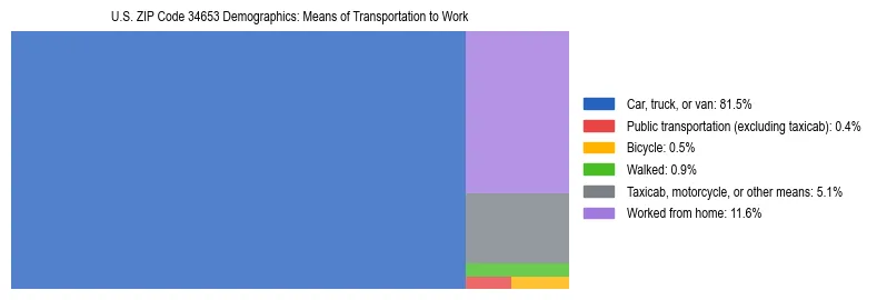 Treemap showing means of transportation to work distribution in US ZIP Code 34653.