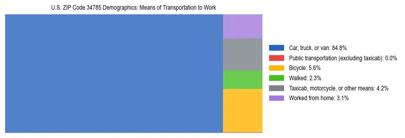 Treemap showing means of transportation to work distribution in US ZIP Code 34785.