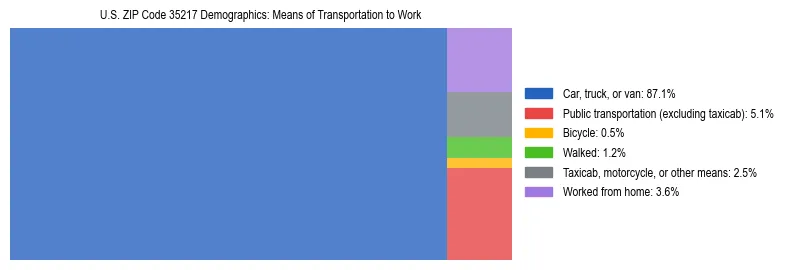 Treemap showing means of transportation to work distribution in US ZIP Code 35217.