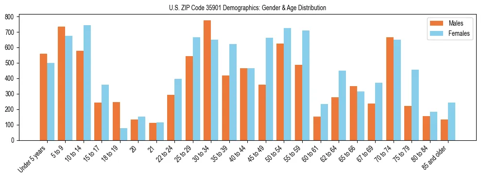 Bar chart showing the population distribution of US ZIP Code 35901 by age group and gender, based on 2023 ACS data.