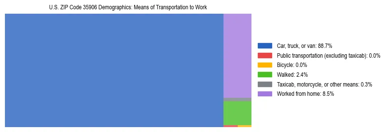 Treemap showing means of transportation to work distribution in US ZIP Code 35906.