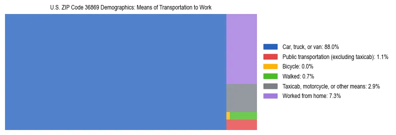Treemap showing means of transportation to work distribution in US ZIP Code 36869.