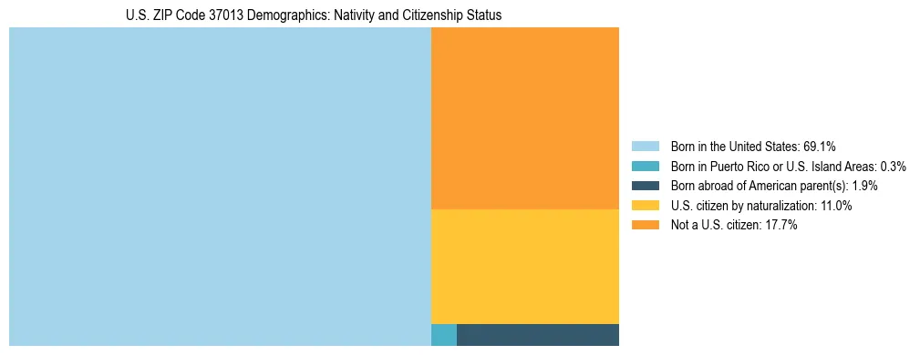Treemap showing the population distribution by nativity and citizenship status in US ZIP Code 37013 based on U.S. Census data.