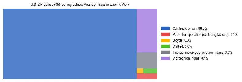 Treemap showing means of transportation to work distribution in US ZIP Code 37055.