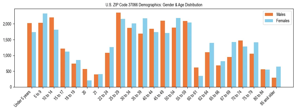 Bar chart showing the population distribution of US ZIP Code 37066 by age group and gender, based on 2023 ACS data.