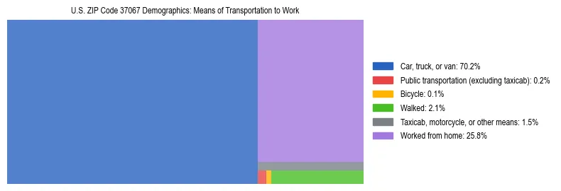 Treemap showing means of transportation to work distribution in US ZIP Code 37067.