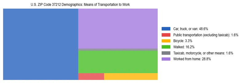 Treemap showing means of transportation to work distribution in US ZIP Code 37212.