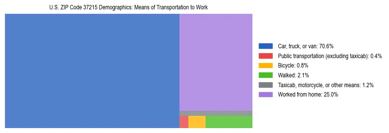 Treemap showing means of transportation to work distribution in US ZIP Code 37215.