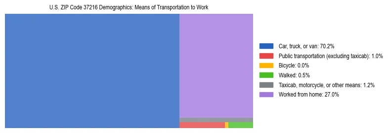 Treemap showing means of transportation to work distribution in US ZIP Code 37216.