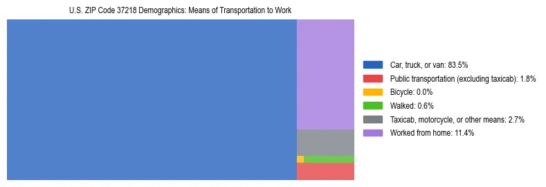 Treemap showing means of transportation to work distribution in US ZIP Code 37218.