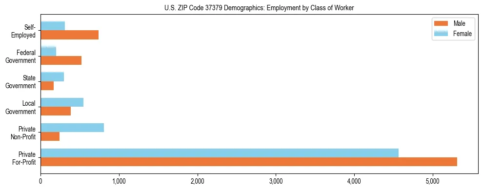 Horizontal bar chart showing employment distribution by class of worker and gender in US ZIP Code 37379, based on 2023 ACS data.