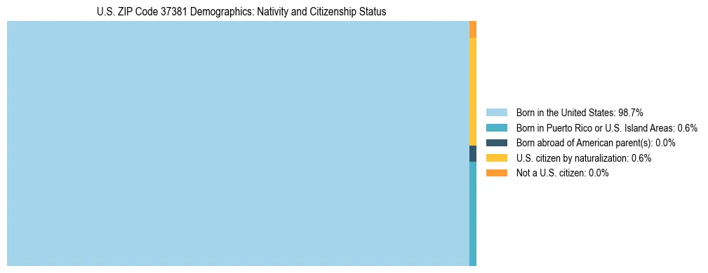 Treemap showing the population distribution by nativity and citizenship status in US ZIP Code 37381 based on U.S. Census data.