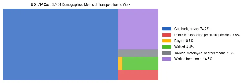 Treemap showing means of transportation to work distribution in US ZIP Code 37404.