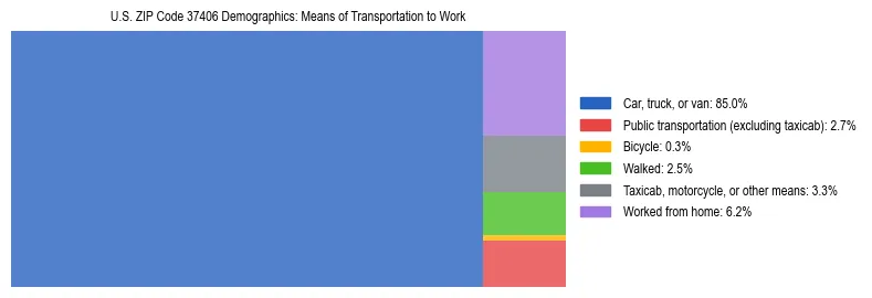 Treemap showing means of transportation to work distribution in US ZIP Code 37406.