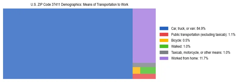 Treemap showing means of transportation to work distribution in US ZIP Code 37411.