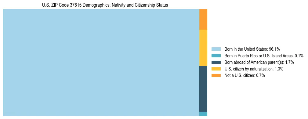 Treemap showing the population distribution by nativity and citizenship status in US ZIP Code 37615 based on U.S. Census data.