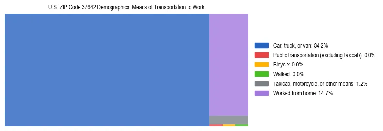 Treemap showing means of transportation to work distribution in US ZIP Code 37642.