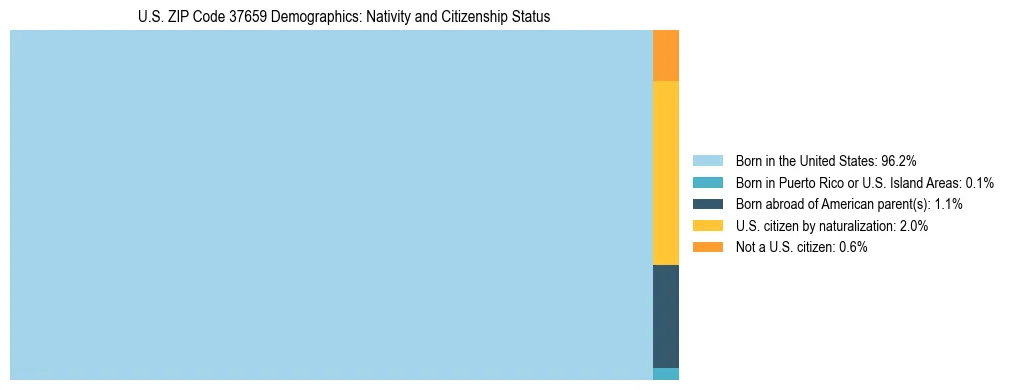 Treemap showing the population distribution by nativity and citizenship status in US ZIP Code 37659 based on U.S. Census data.