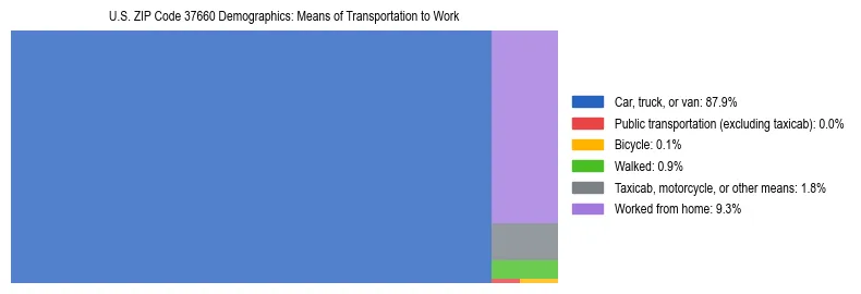 Treemap showing means of transportation to work distribution in US ZIP Code 37660.