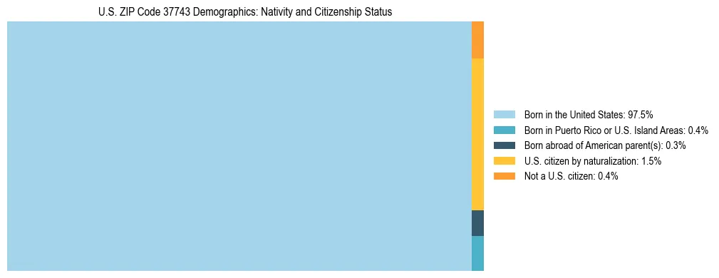 Treemap showing the population distribution by nativity and citizenship status in US ZIP Code 37743 based on U.S. Census data.
