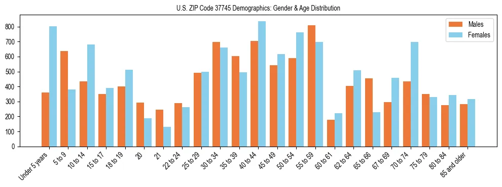 Bar chart showing the population distribution of US ZIP Code 37745 by age group and gender, based on 2023 ACS data.