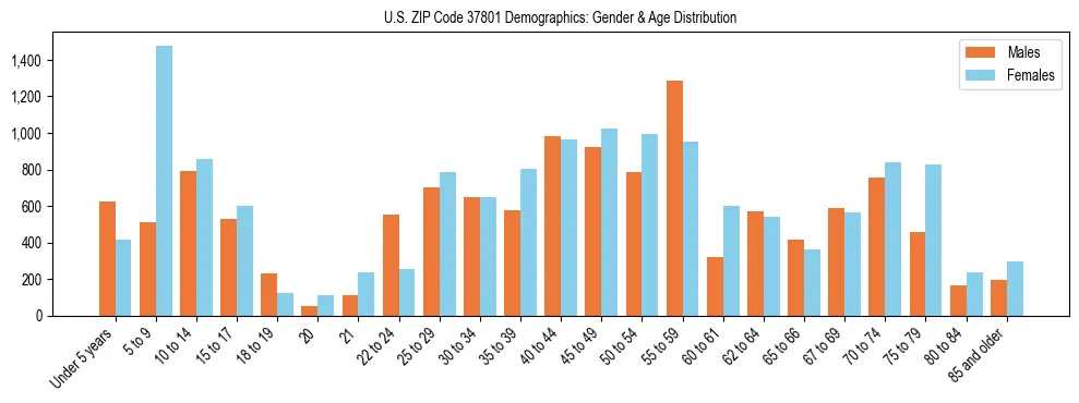 Bar chart showing the population distribution of US ZIP Code 37801 by age group and gender, based on 2023 ACS data.