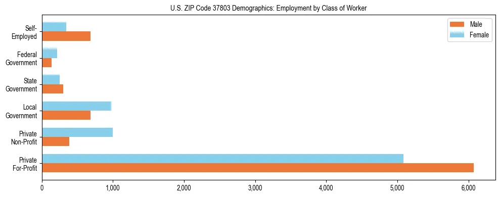 Horizontal bar chart showing employment distribution by class of worker and gender in US ZIP Code 37803, based on 2023 ACS data.