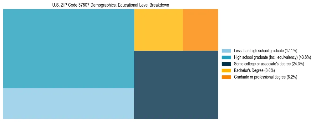 Treemap chart illustrating the educational attainment breakdown for population 25 years and over in US ZIP Code 37807.