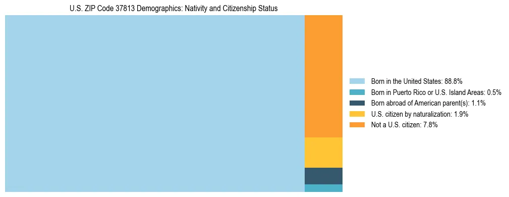 Treemap showing the population distribution by nativity and citizenship status in US ZIP Code 37813 based on U.S. Census data.