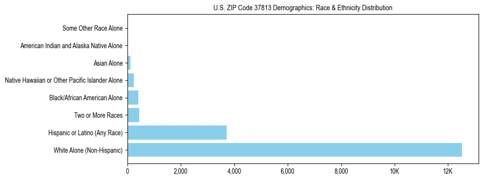 Race and Ethnicity Distribution Chart for US ZIP Code 37813