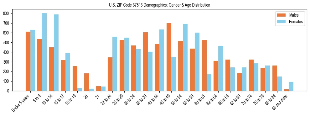 Bar chart showing the population distribution of US ZIP Code 37813 by age group and gender, based on 2023 ACS data.