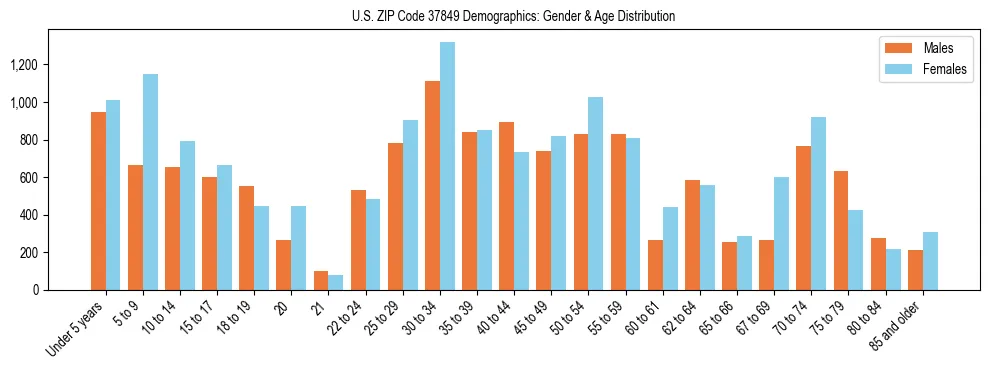 Bar chart showing the population distribution of US ZIP Code 37849 by age group and gender, based on 2023 ACS data.