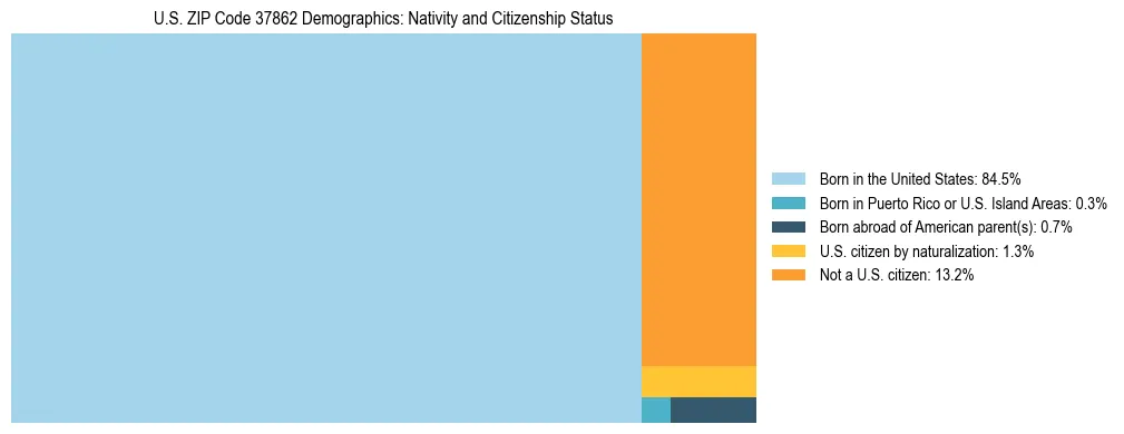 Treemap showing the population distribution by nativity and citizenship status in US ZIP Code 37862 based on U.S. Census data.