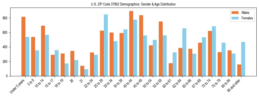 Bar chart showing the population distribution of US ZIP Code 37862 by age group and gender, based on 2023 ACS data.