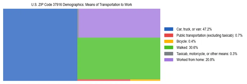 Treemap showing means of transportation to work distribution in US ZIP Code 37916.